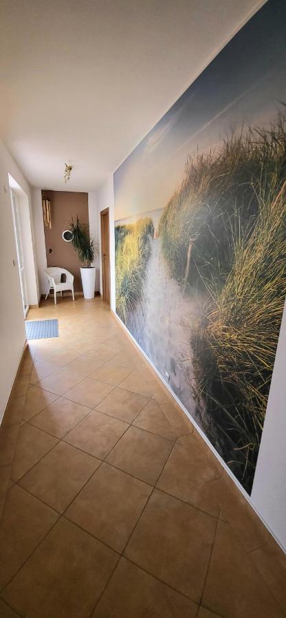 Emada- Pokoje Goscinne I Studia Ostrowo  Exterior foto